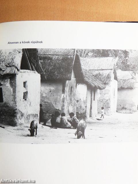 Búcsú a cigányteleptől