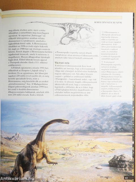 Novum Dinoszaurusz enciklopédia