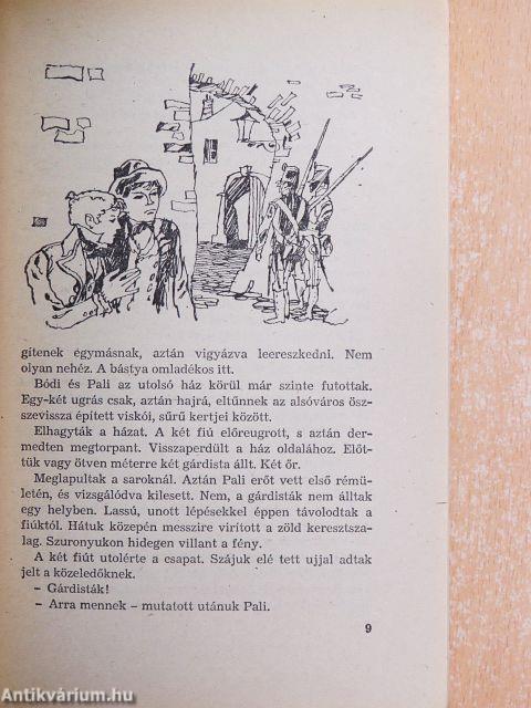 A szebeni fiúk