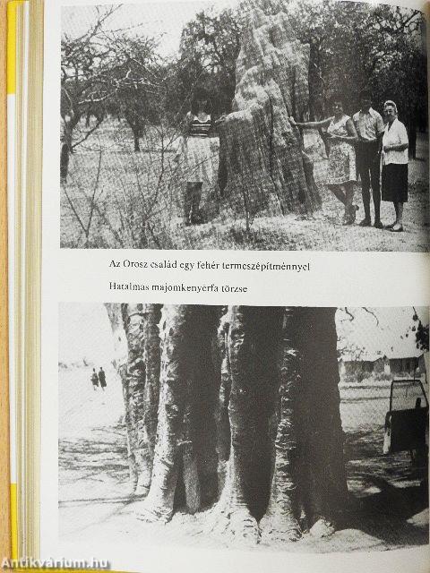 Magyar orvosok Nigériában