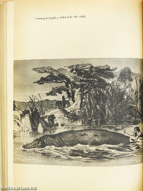 Híres vadászkalandok