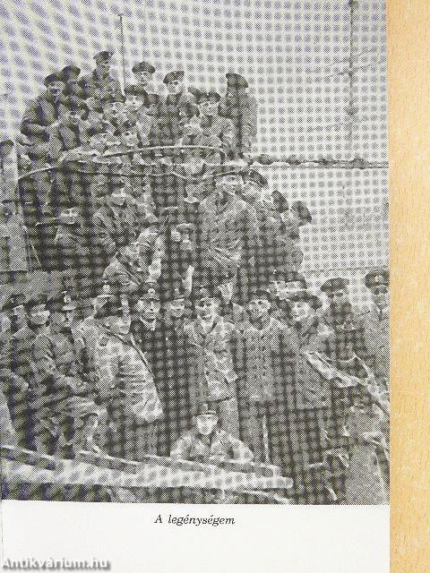 Tengerek szürke farkasa