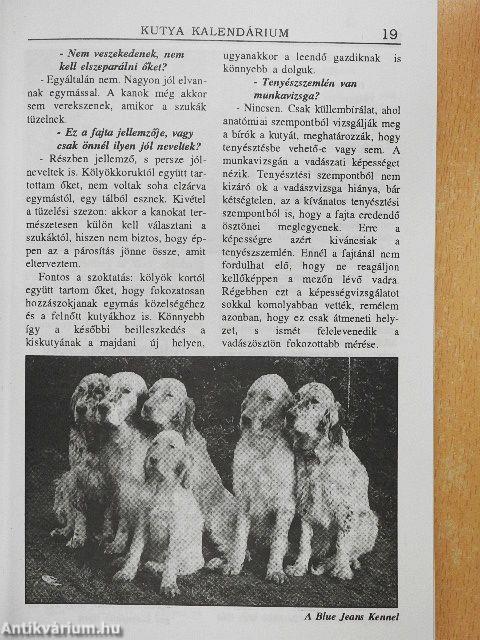 Kutya kalendárium 1999