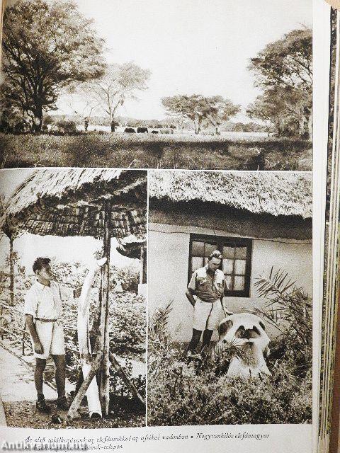 Afrika az álmok világában és a valóságban 1-3.