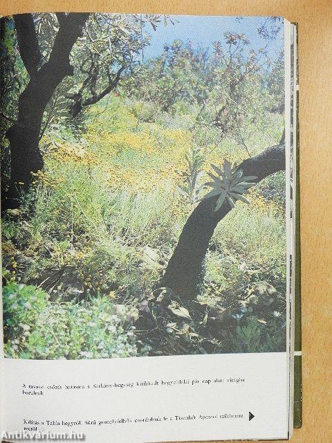 A Zambézitől délre