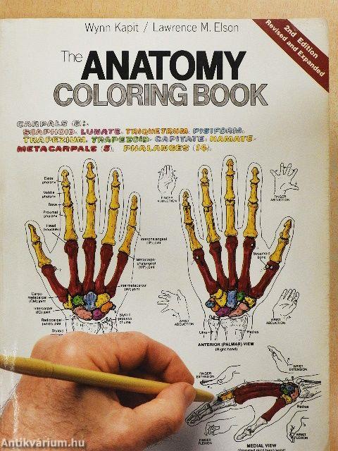 The Anatomy Coloring Book