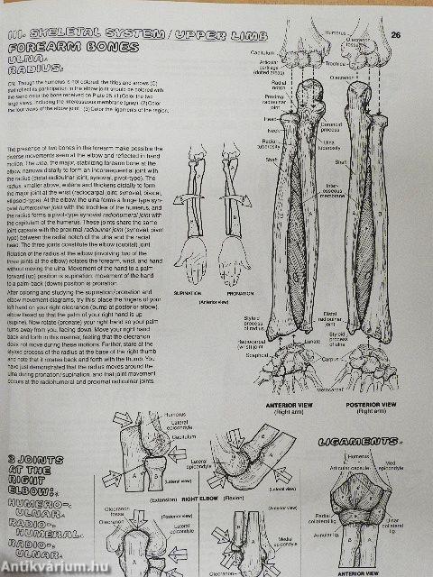 The Anatomy Coloring Book