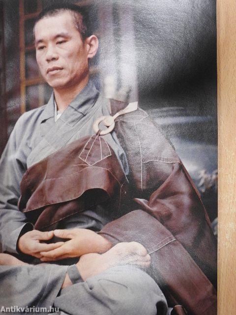 Steyler Missionschronik 1978