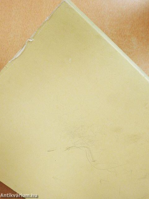 Radna fényes csillaga