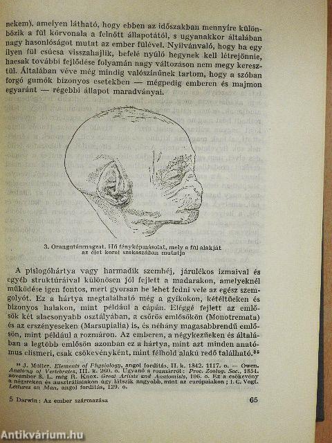 Az ember származása és a nemi kiválasztás