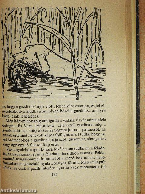 A gemenci bak és más vadászelbeszélések