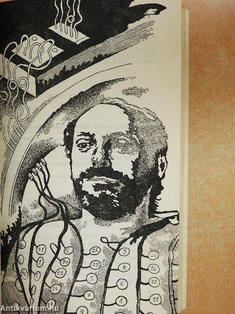 Az Androméda-törzs