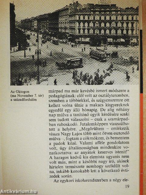Így élt Nagy Lajos