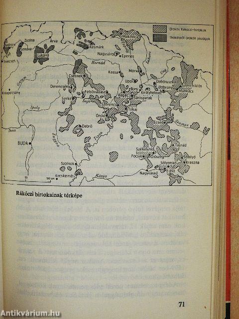 A nagyságos fejedelem