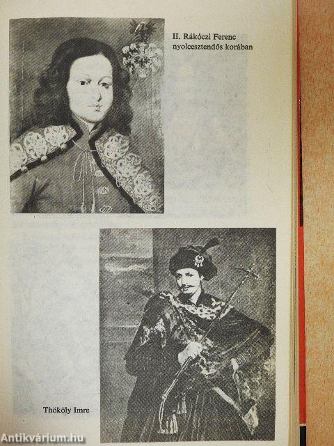 A nagyságos fejedelem