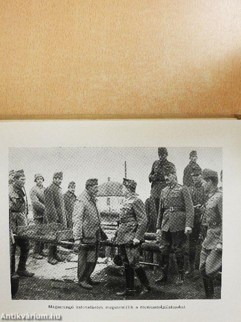 "Fegyvertelen álltak az aknamezőkön..." I-II.