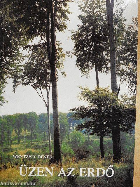 Üzen az erdő