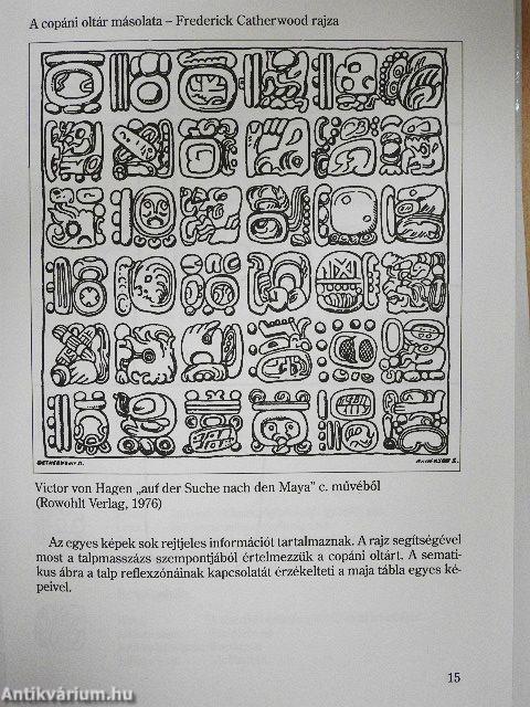 A kéz reflexmasszázsa