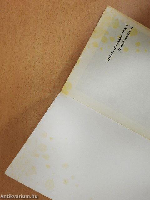 Jézus elveszett évei