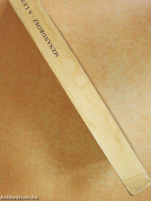 A lenyírt hajú lány