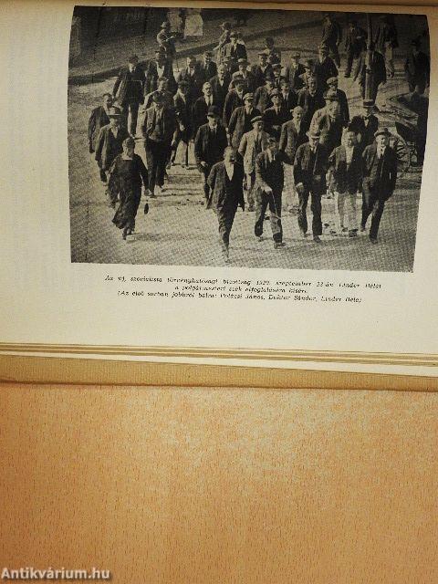 A Magyar Tanácsköztársaság pécsi-baranyai emlékkönyve