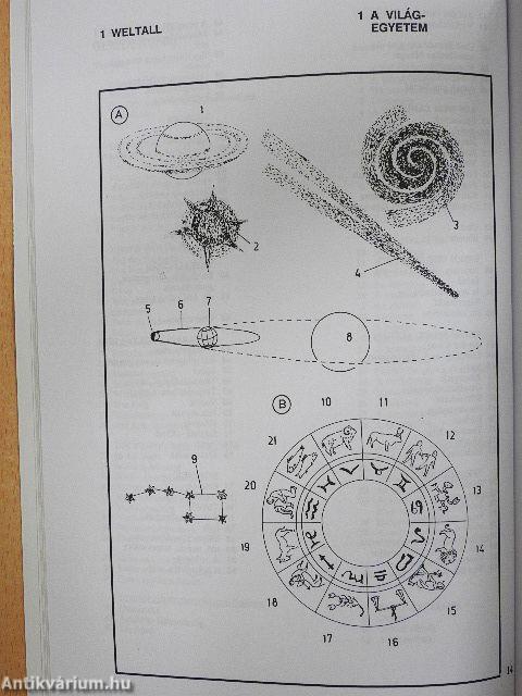 Képes német-magyar szótár