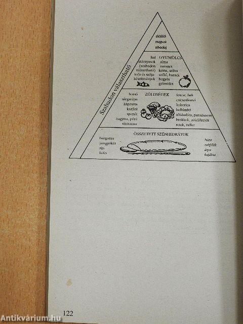 Táplálkozásterápia