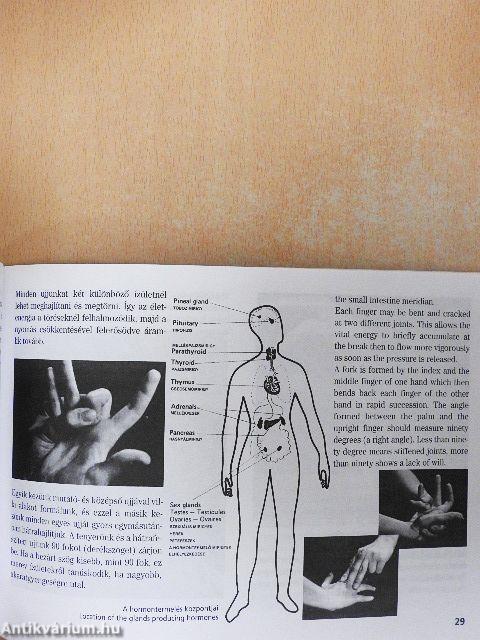 Dó-in 1 klasszikus hagyományai