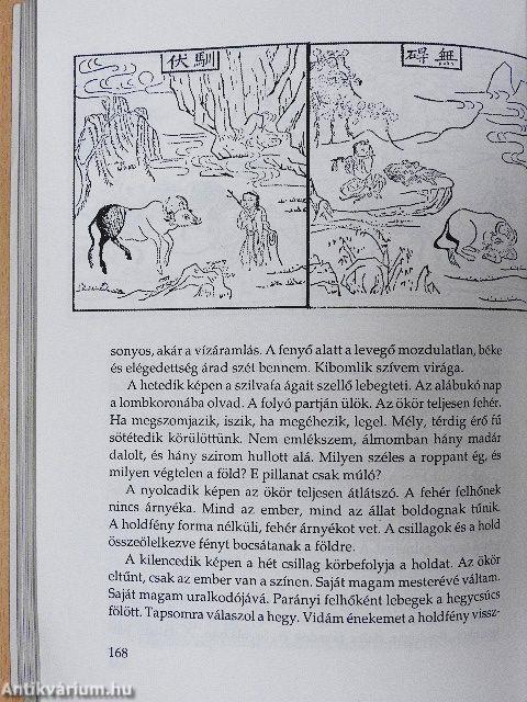 Öleld át a tigrist, és vidd vissza a hegyekbe!