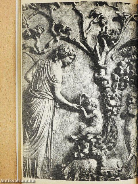 Szexuális harmónia