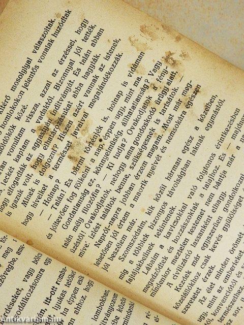 Jeles elbeszélők - Műírók és költők