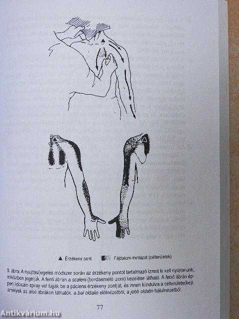 Holisztikus fájdalomcsillapítás