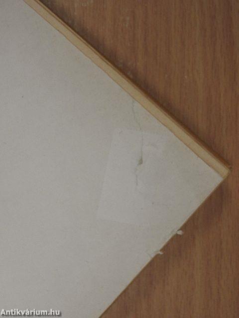 A Musza Dagh negyven napja I-II.