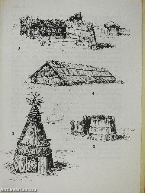 Pásztorélet, pásztorművészet