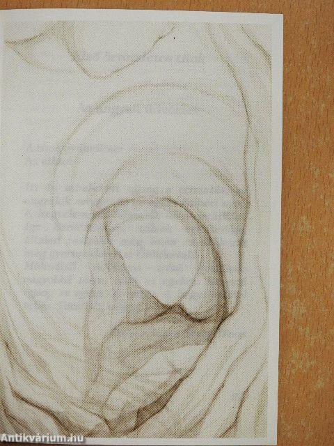 A rózsafüzér titkai