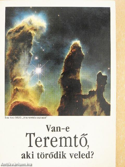 Van-e Teremtő, aki törődik veled?