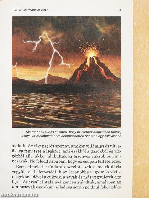 Van-e Teremtő, aki törődik veled?