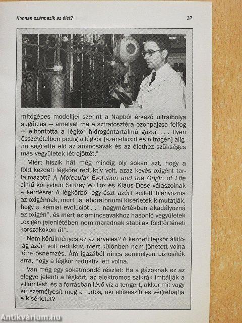 Van-e Teremtő, aki törődik veled?