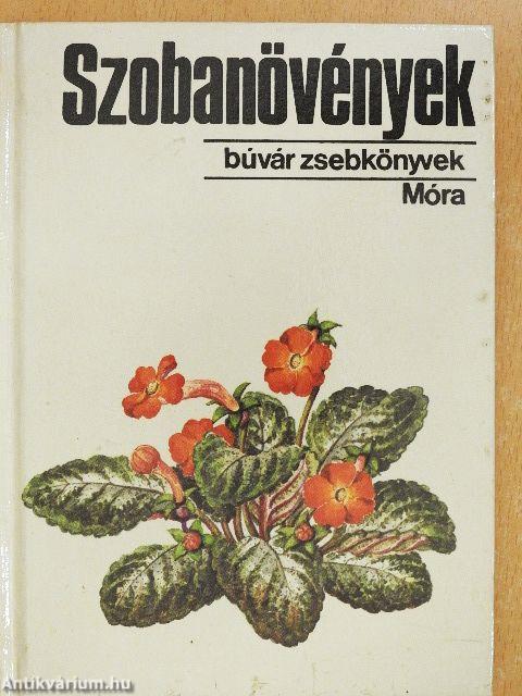 Szobanövények