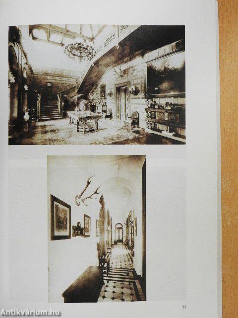 Évgyűrűk a nagymágocsi életfában