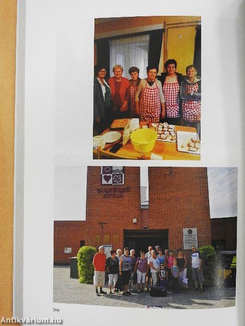 Évgyűrűk a nagymágocsi életfában