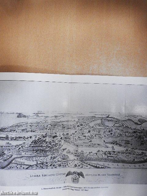 Marosvásárhely régi épületei