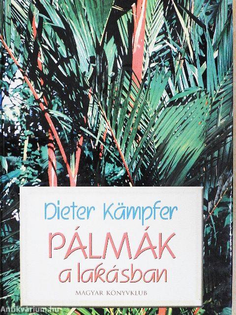 Pálmák a lakásban