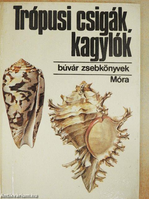 Trópusi csigák, kagylók