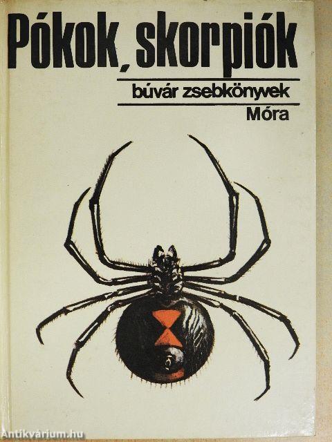 Pókok, skorpiók