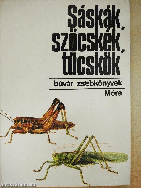 Sáskák, szöcskék, tücskök