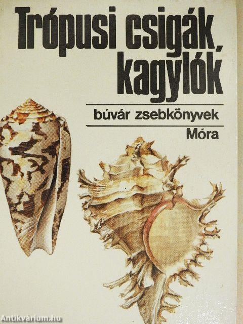 Trópusi csigák, kagylók