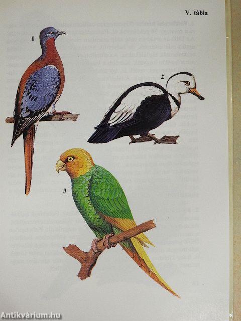 Egyszervolt állatok