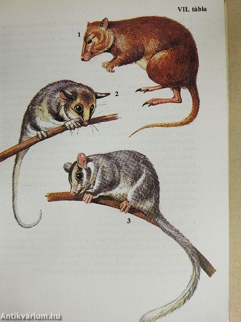 Egyszervolt állatok