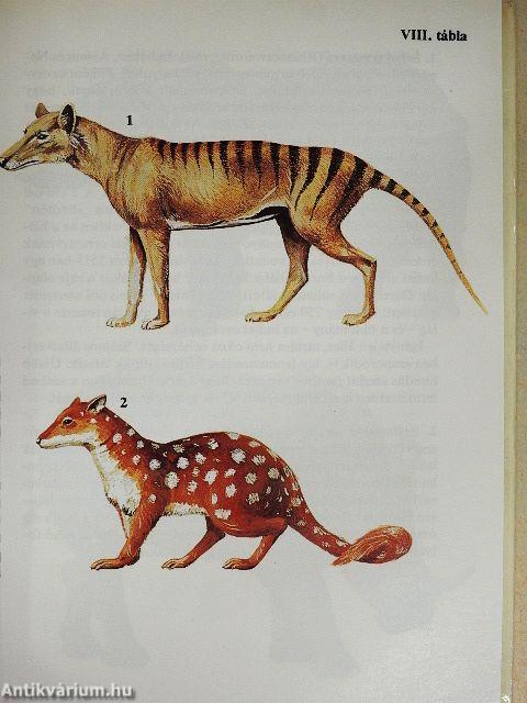 Egyszervolt állatok